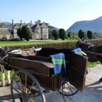 Jaunting Car en Muckross House